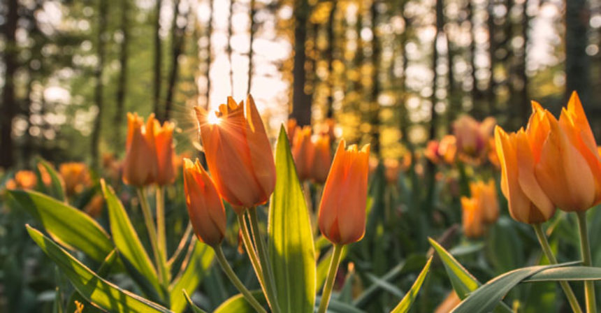 port elgin real estate spring cleaning