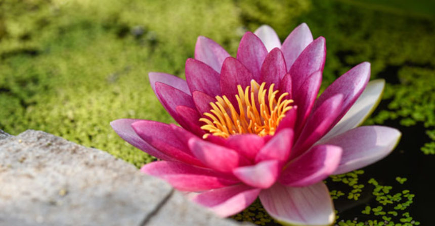 Port-Elgin-water-feature-Susan-Terry-Real-Estate-Broker