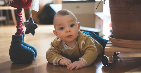 baby-proof-susan-terry-real-estate