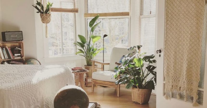 college-crib-susan-terry-real-estate