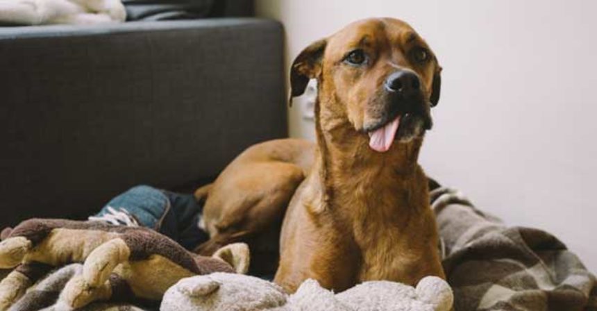 BEWARE-OF-BUYER-TURN-OFFS susan terry real estate