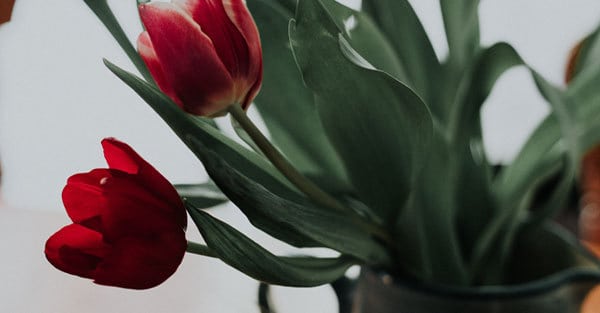 DE-STRESS-YOUR-HOME-susan-terry-real-estate