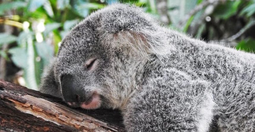 BACK-TO-SCHOOL-SLEEP-TIPS