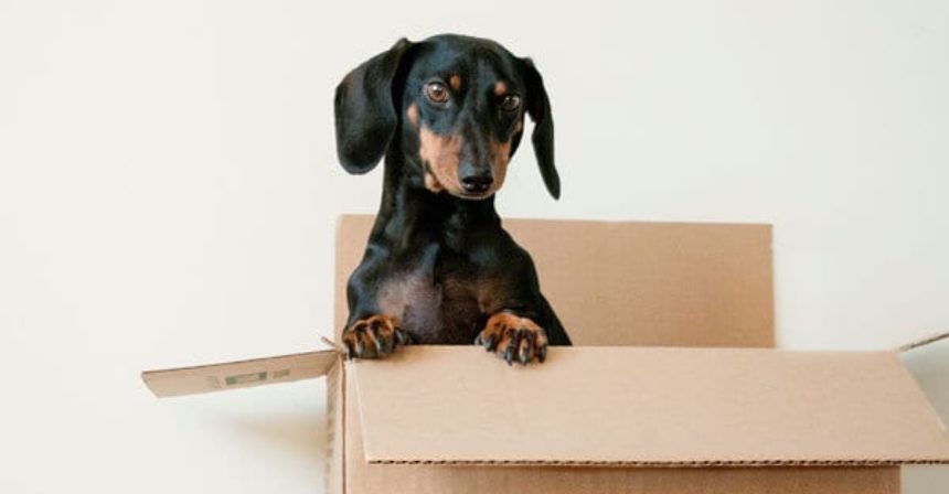 CUT-THE-STRESS-WITH-A-MOVING-CHECKLIST