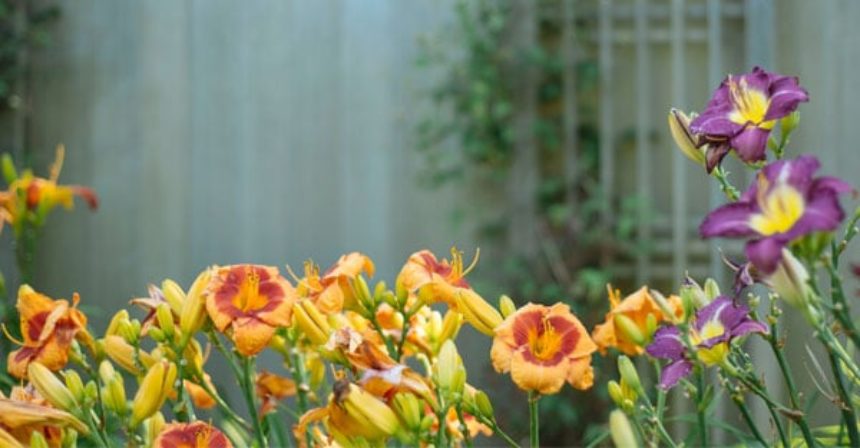 THE-SECRET-GARDEN-INSPIRATION