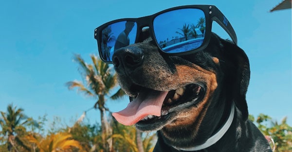 BEAT-THE-HEAT-WITH-FROZEN-TREATS