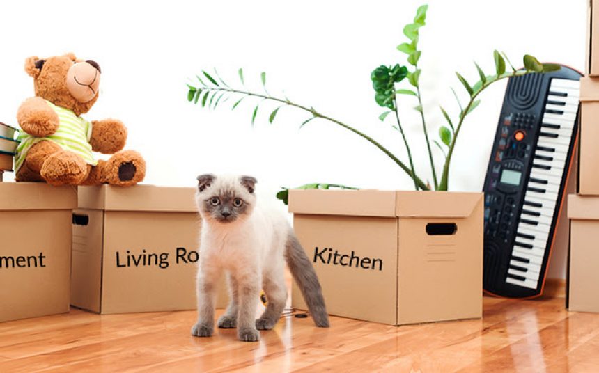 NOW THAT’S A SMOOTH MOVE!