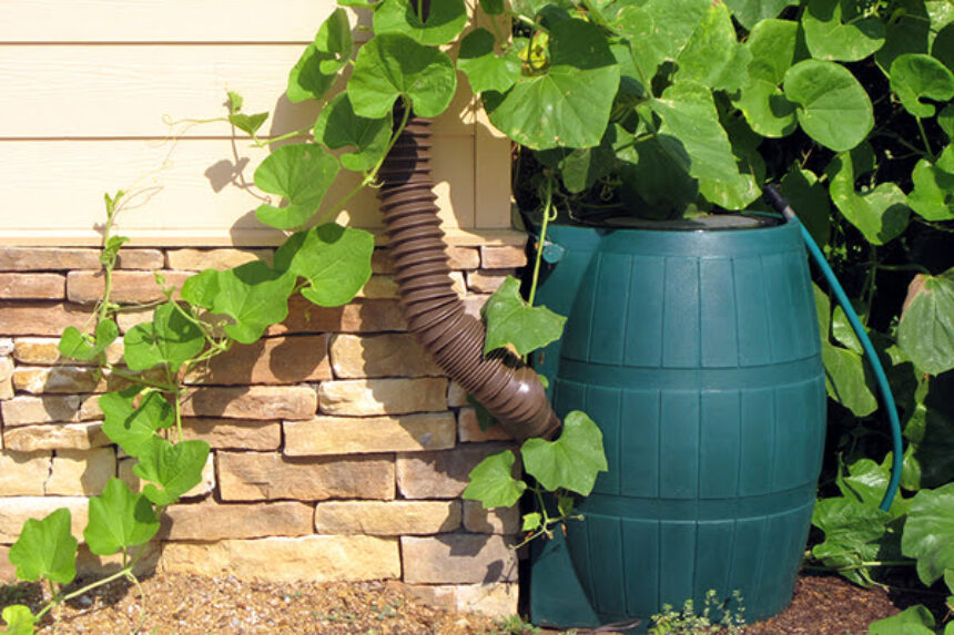 A BARREL OF FUN IN GREY BRUCE! - Susan Terry