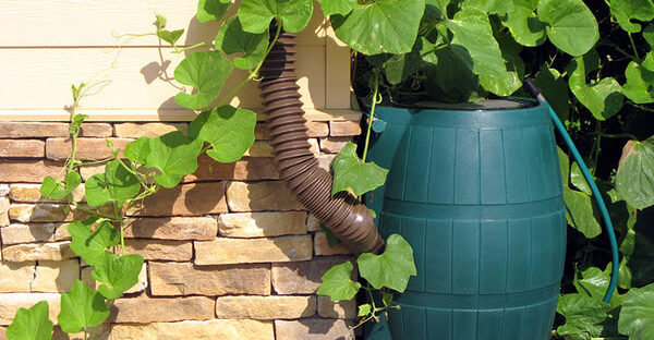 A Barrel of Fun In Grey Bruce! - Susam Terry Real