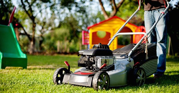 The Grass Can Always Be Greener - Port Elgin Real Estate Listing Expert Susan Terry and Danielle Spry